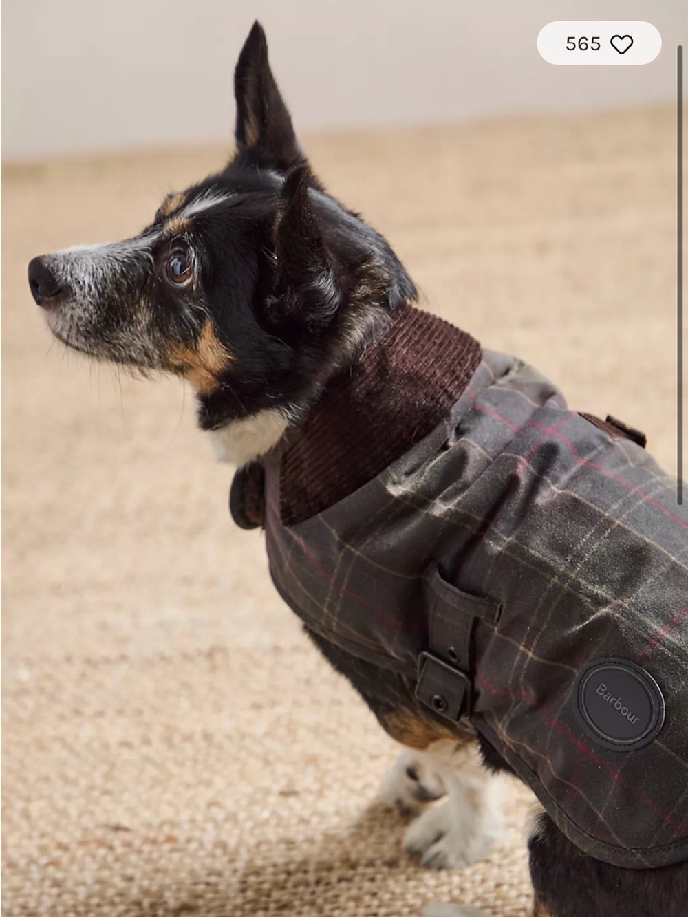 Barbour Olive and Tartan Dog Coat - waxwear Water-Resistant Winter Jacket